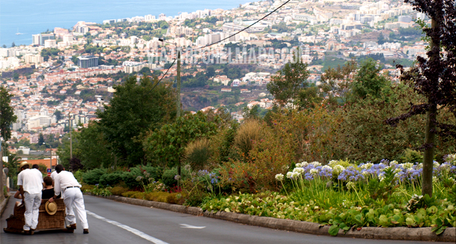 Carreiros do Monte - Madeira