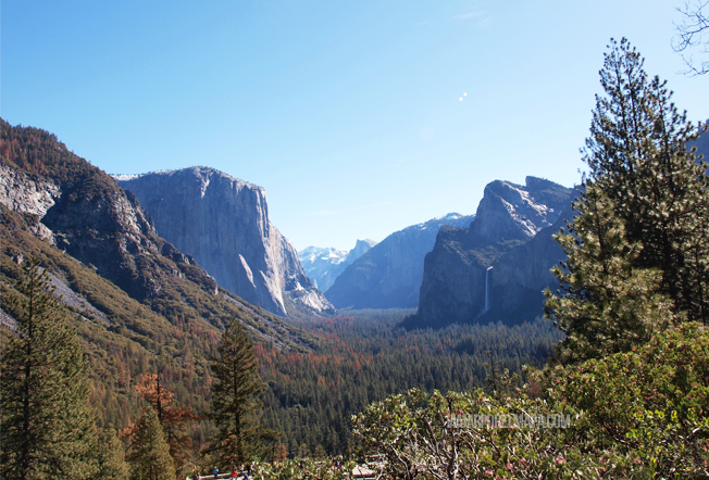 Parques Nacionales Yosemite