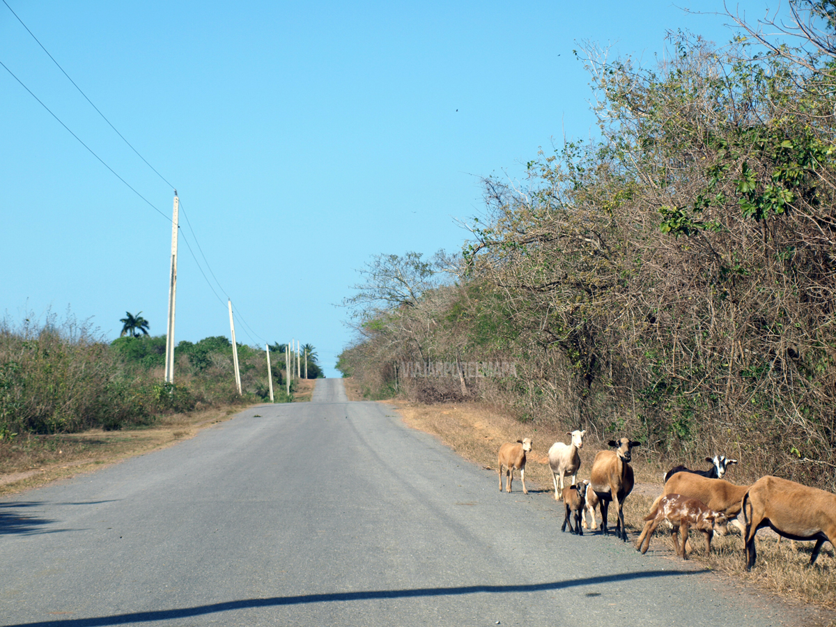 conducir en Cuba estado de las carreteras